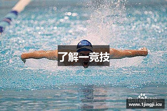 了解一竞技